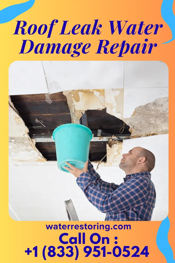 Roof Leak Water Damage Repair in Old Fig Garden, CA